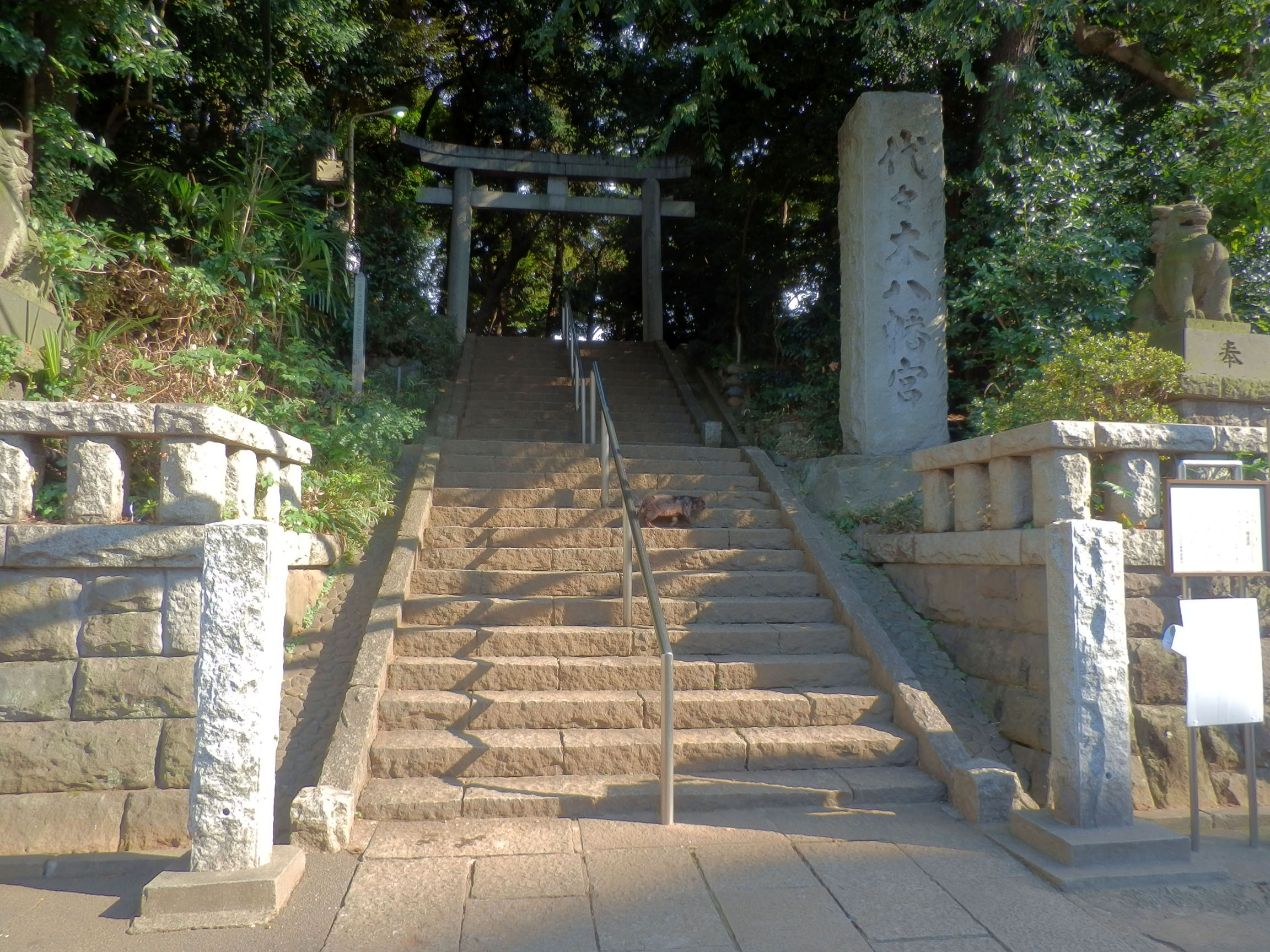 代々木八幡宮の鳥居