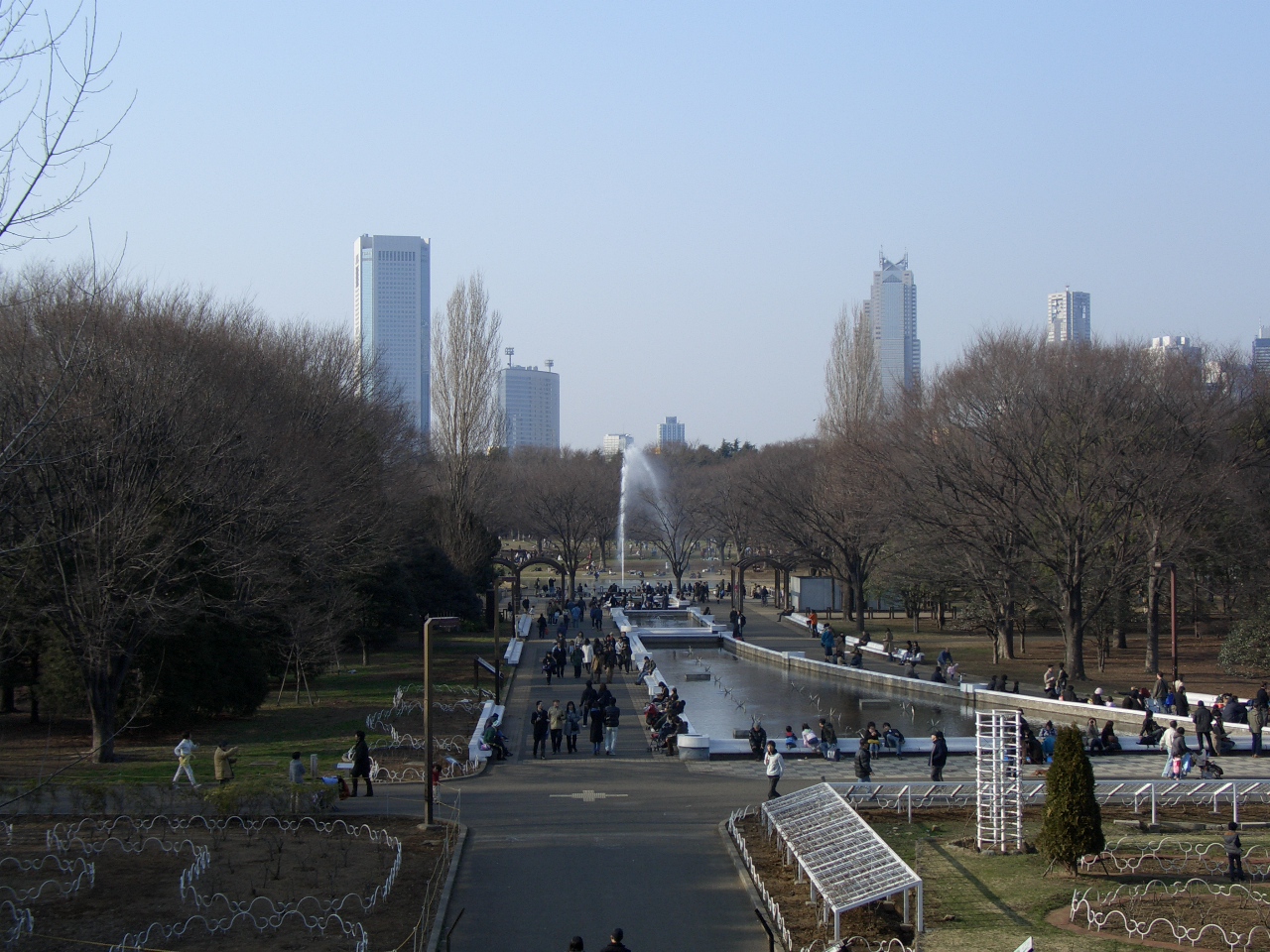 Trees and a path inside Yoyogi Park
